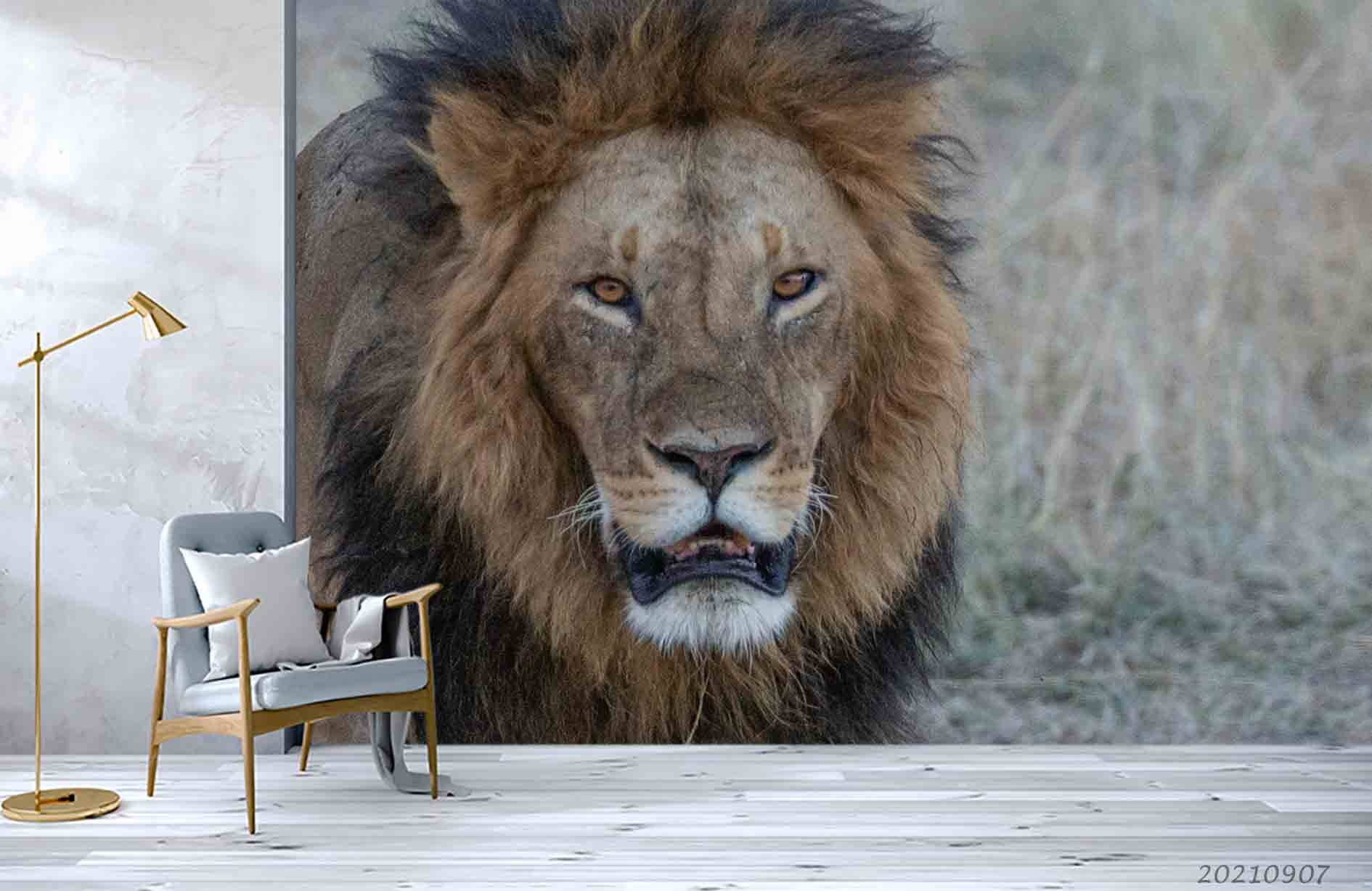 3D Wild Animal Lion Wall Mural Wallpaper Lqh 7