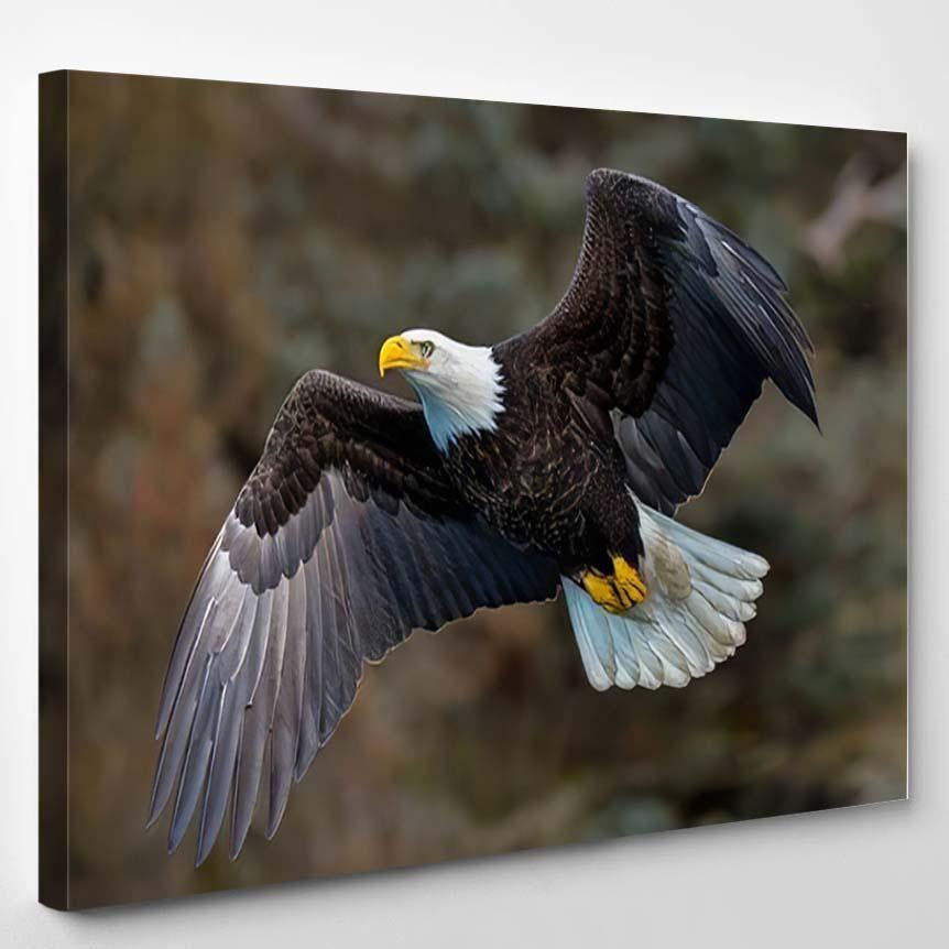 American Bald Eagle Flight Against Alaskan 1 – Eagle Animals Canvas Print