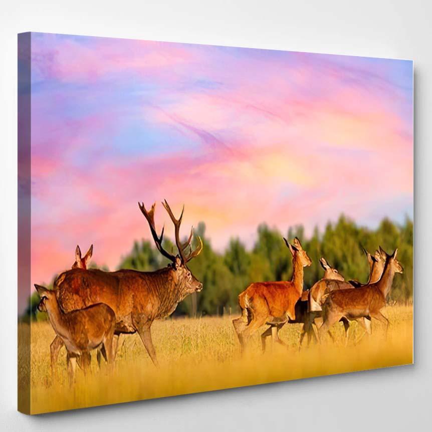 Red Deer Group Stag During Amazing – Hunting And Fishing Canvas Print