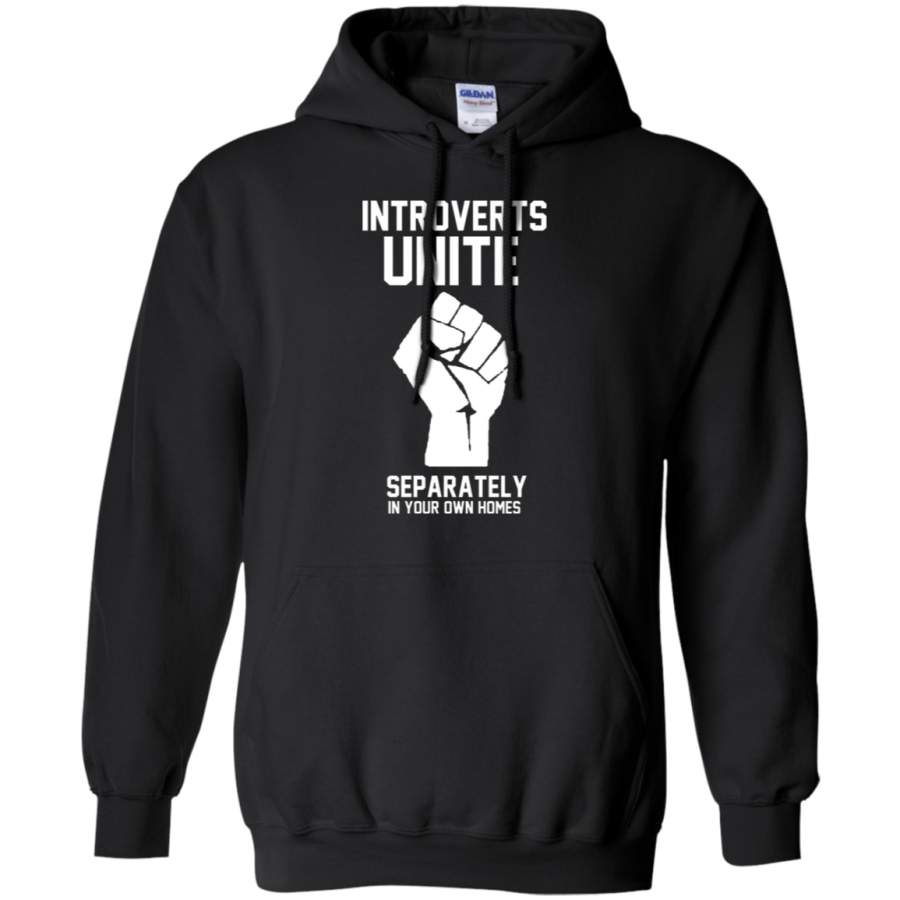 AGR Introverts unite separately in your own homes Gildan Pullover Hoodie