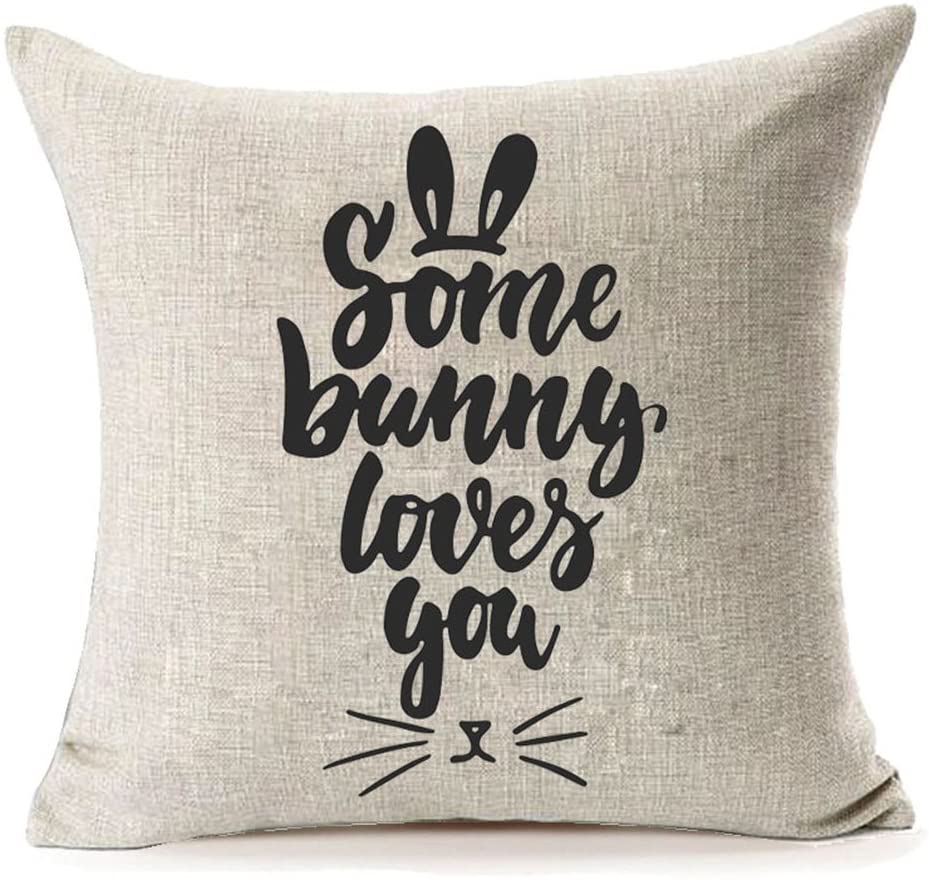 Mfgneh Some Bunny Loves You Easter Decorations Pillow Covers Throw Pillow Case Cushion Covers