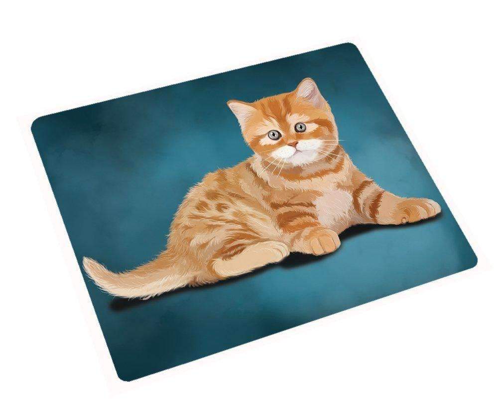 British Orange Kitten Cat Art Portrait Print Woven Throw Sherpa Plush Fleece Blanket