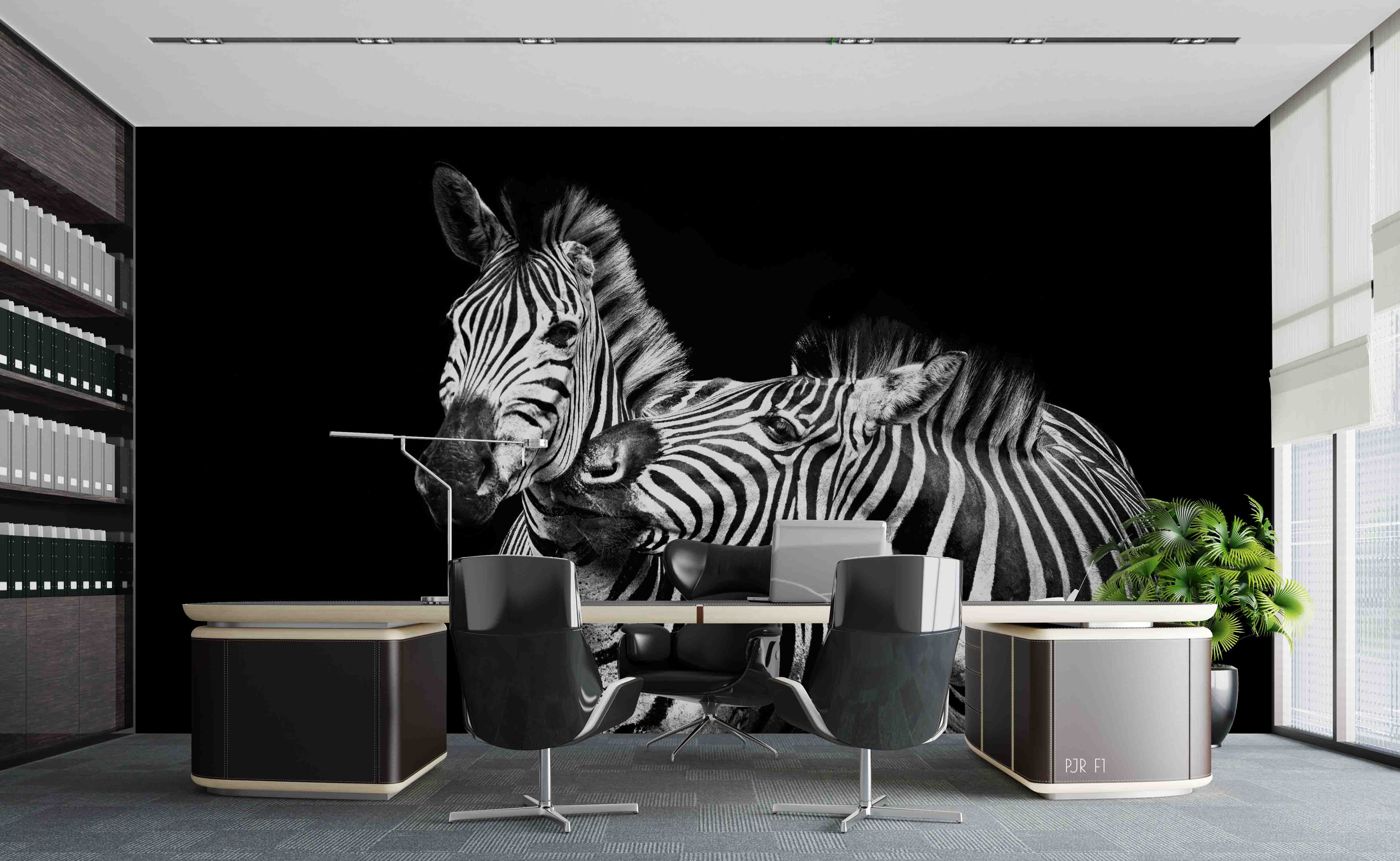 3D Black Background Animal Zebra Wall Mural Wallpaper Wj 2053