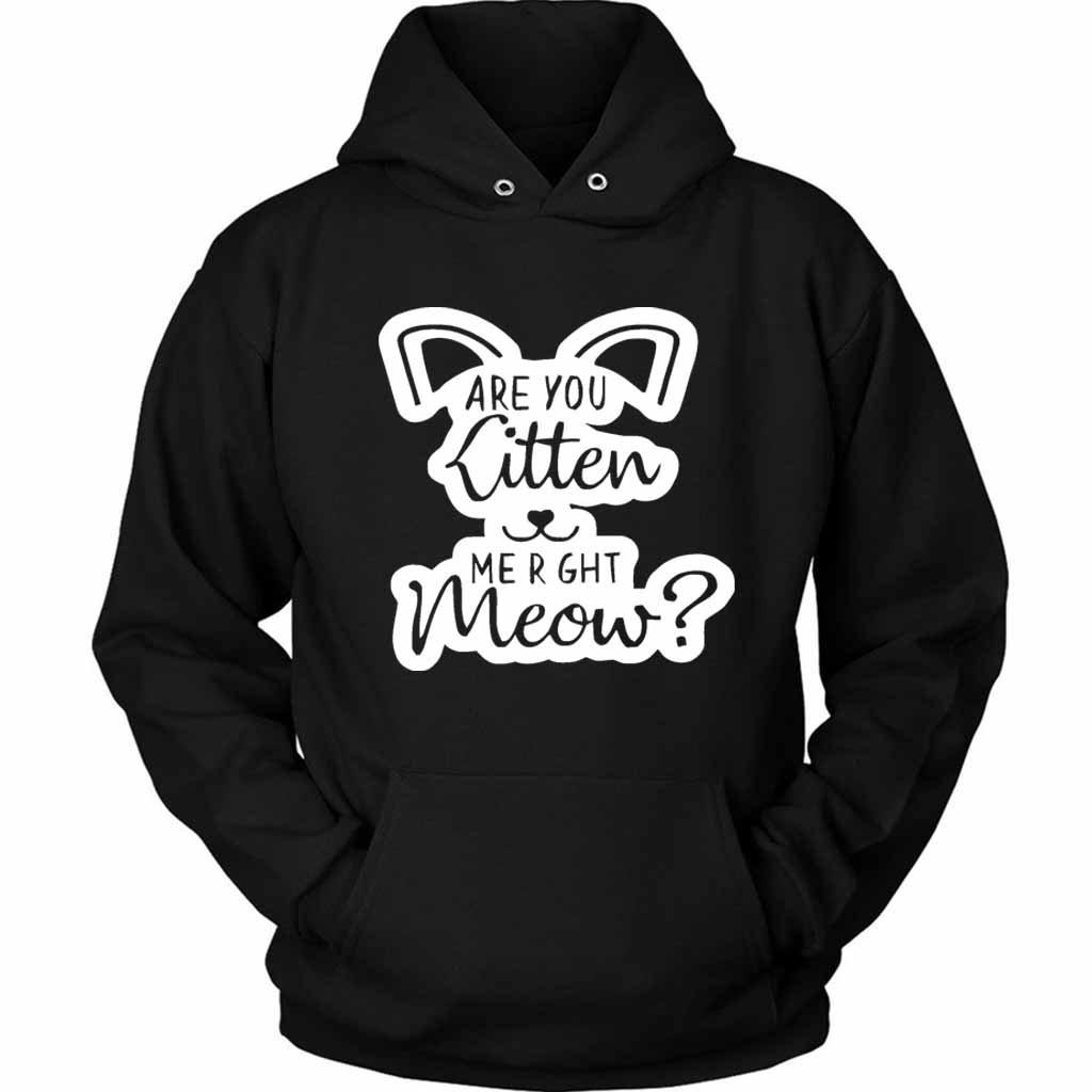 Are You Kitten Me Right Meow Go Unisex Hoodie