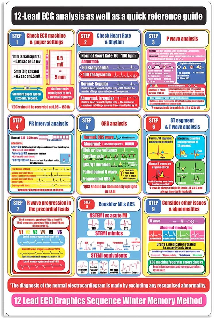 Cardiology 12 Lead Ecg Analysis Check Machine Rhythm Wall Art Hanging Paper Photography Watercolor Living Bedroom Home Decor No Frame Cardiologist Poster