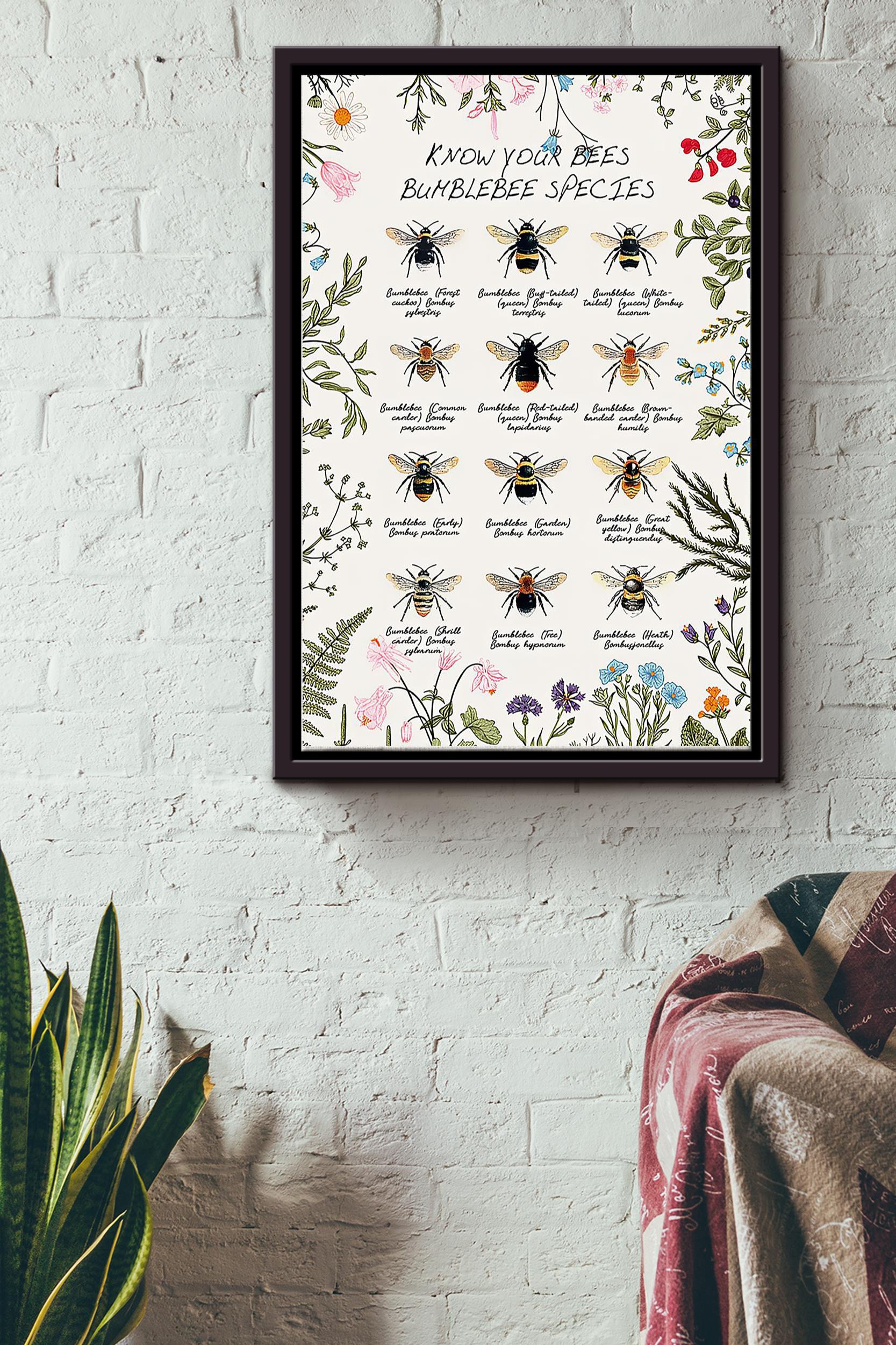 Bee Knowledge Bumblebee Species Poster – Animal Knowledge Wall Art Canvas – Gift For Gir Women Female Male Boy Men Gardener Beekeeper Bee Lover Biologist Gardenkeeper Framed Matte Canvas