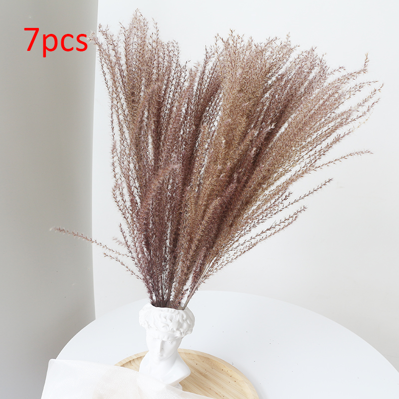 Arrangement Reed Pampas Wheat Ears Rabbit Tail Grass Natural Dried Flowers Bouquet Wedding Decoration Hay for Party Bohemian Hom alx