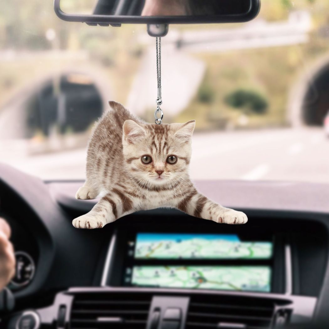 Waybackapparel Cat Kitten Wants You Car Hanging Ornament