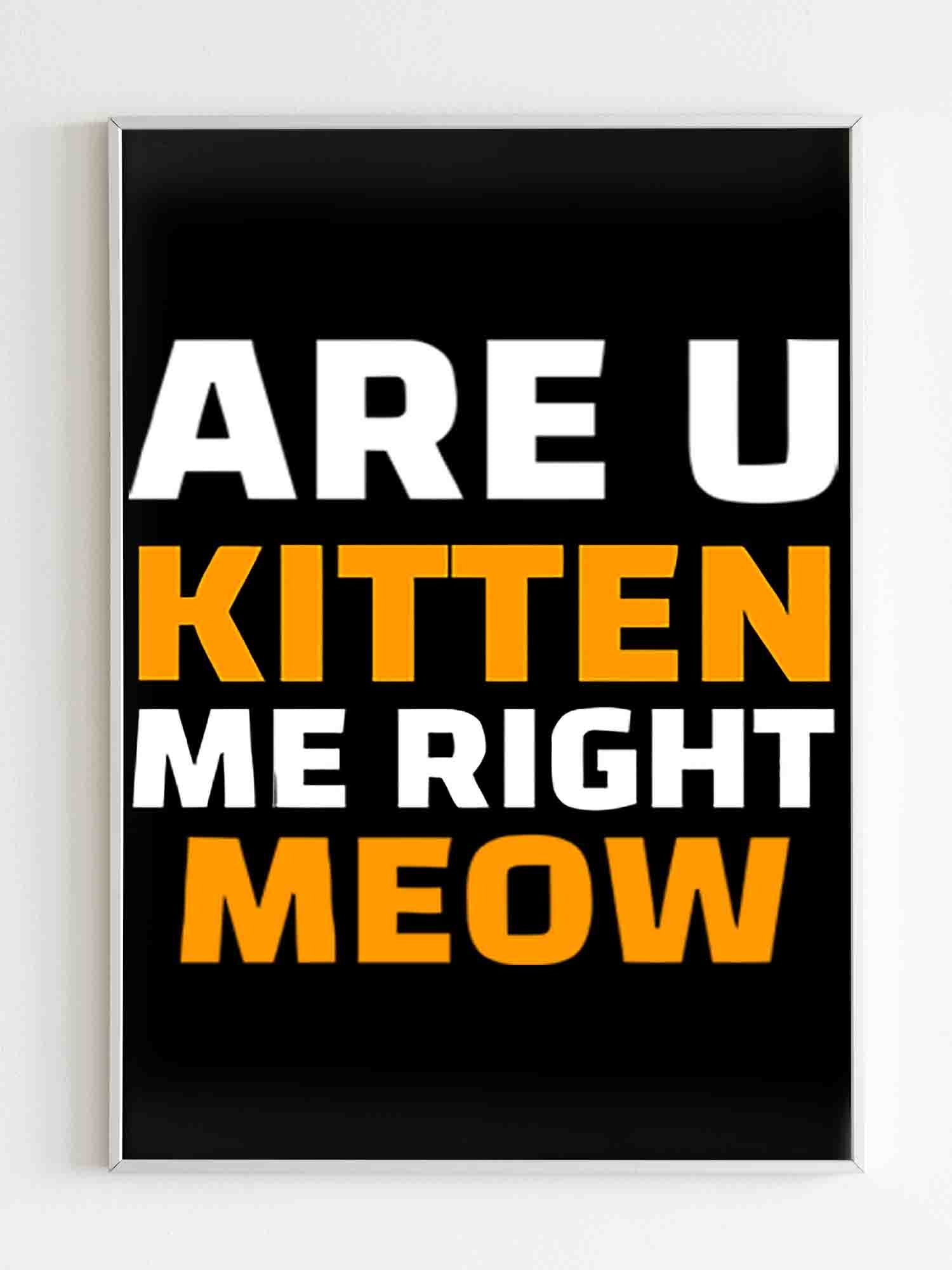 Are U Kitten Me Right Meo Poster