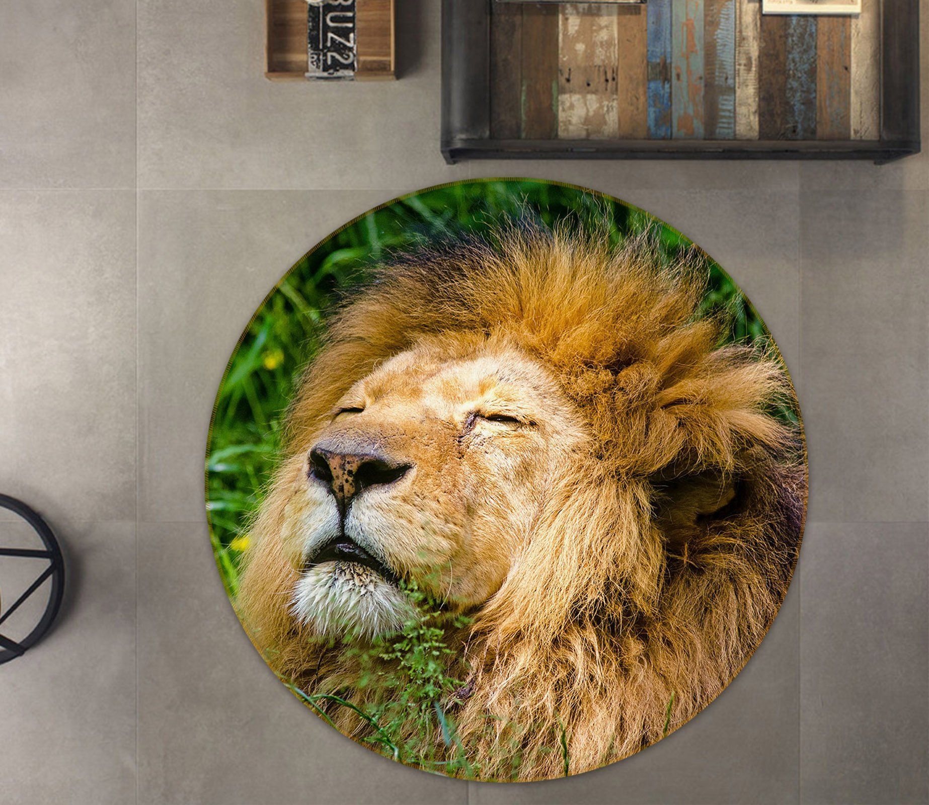 Sleeping Lion Face Printed Round Rug – Round Carpet Home Decor