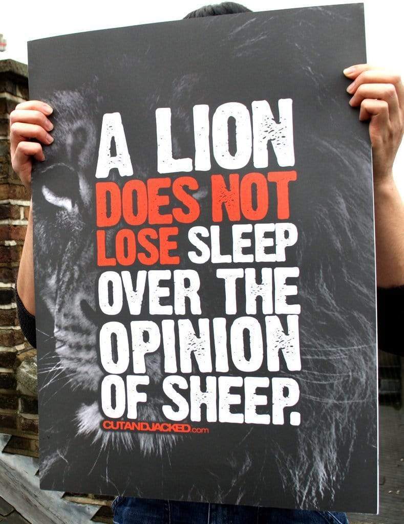 2 Lions Don’t Lose Sleep Over Opinions Of Sheep Canvas Prints Poster Print, Wall Art Canvas, Poster Canvas Wall Decor