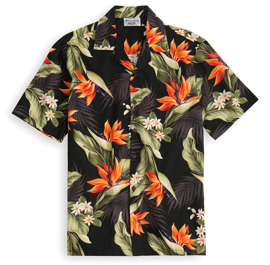 Molokai Multicolor Nice Design Hawaii Shirt Ha9820