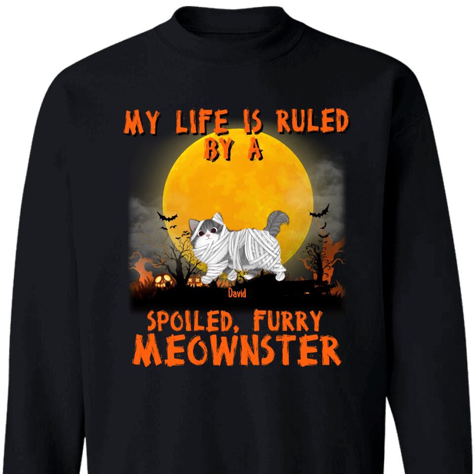 Mother, Father Of Meownsters – Personalized Sweatshirt For Cat Lovers – Trending Personalized