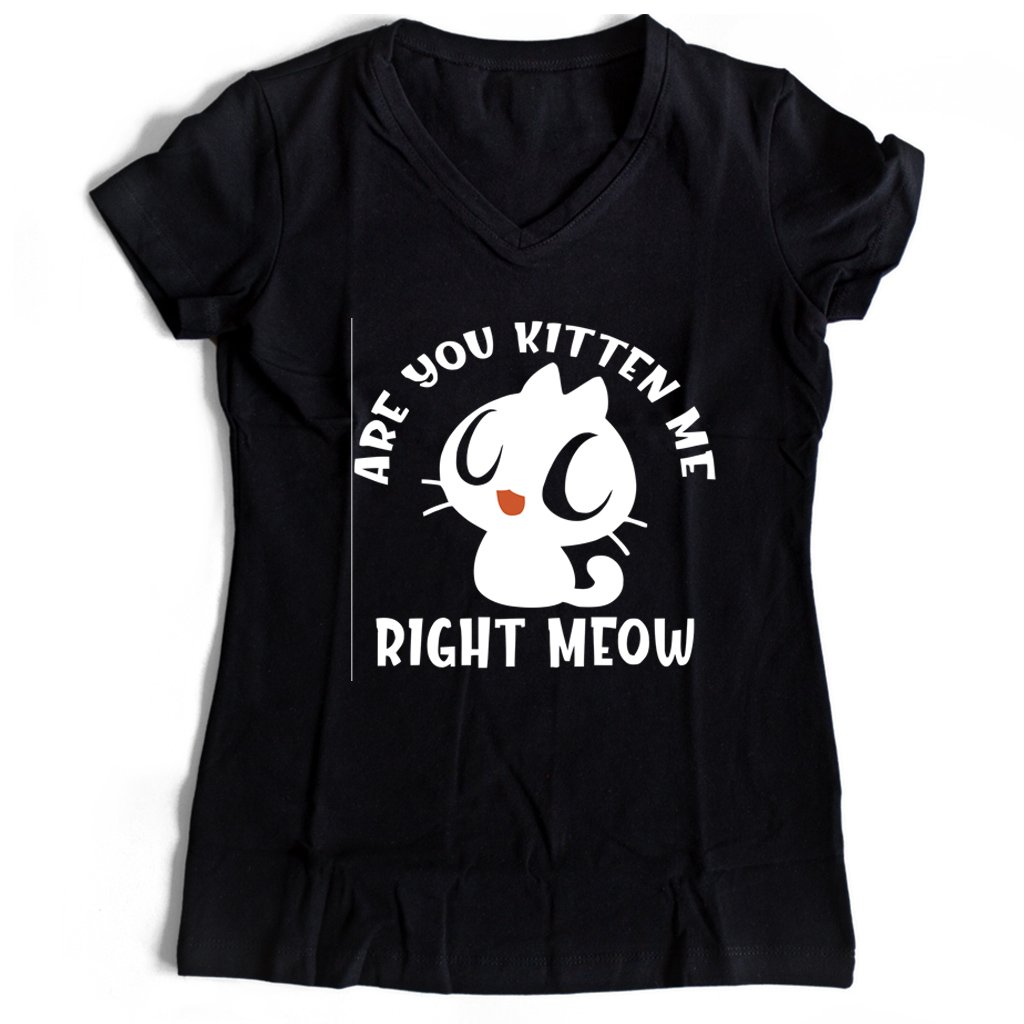 Are You Kitten Me Right Meow Range Women’s V-Neck Tee T-Shirt