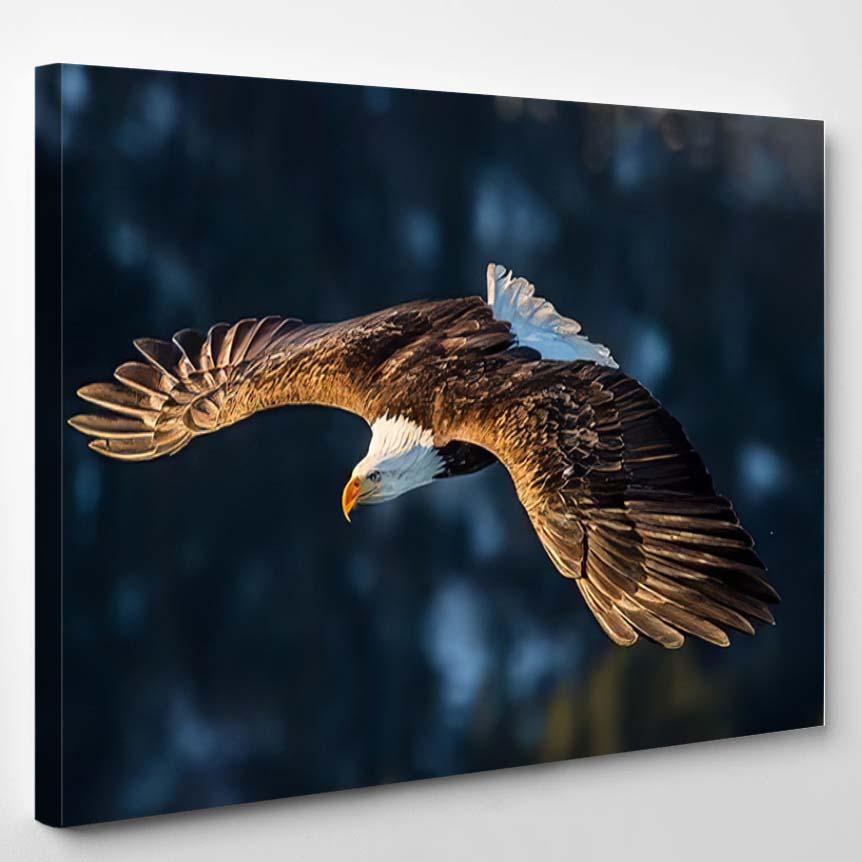 American Bald Eagle Diving Flight Against 1 – Eagle Animals Canvas Print