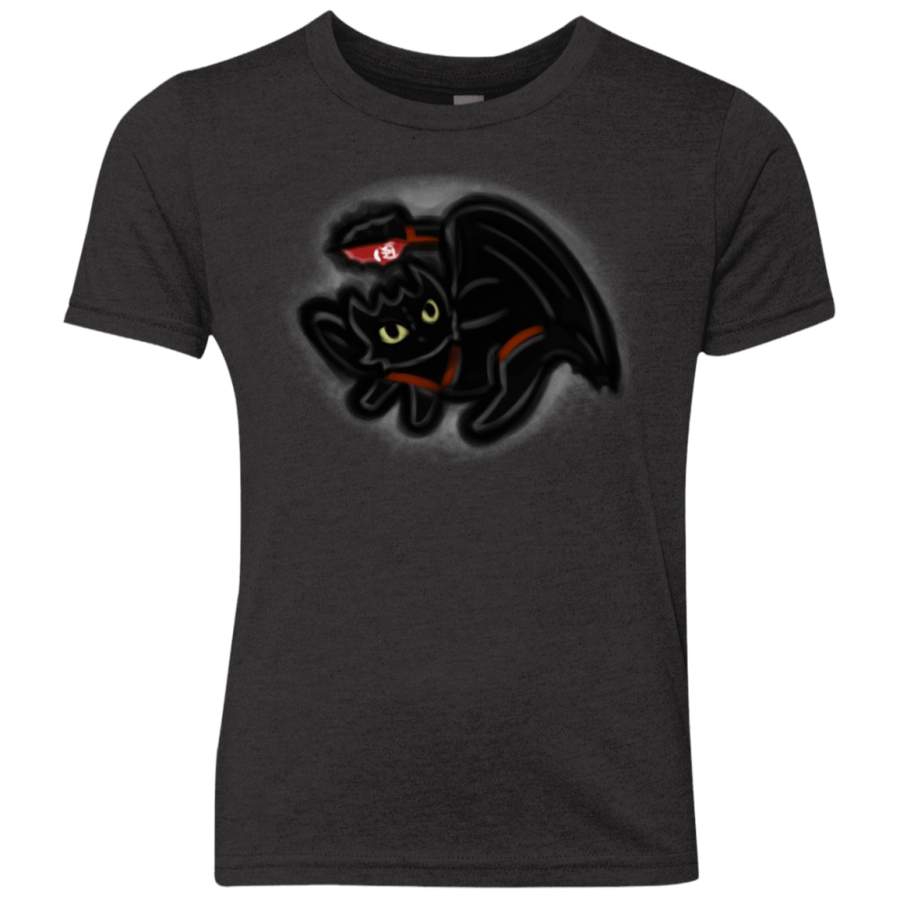 Toothless Simba Youth Triblend T-Shirt