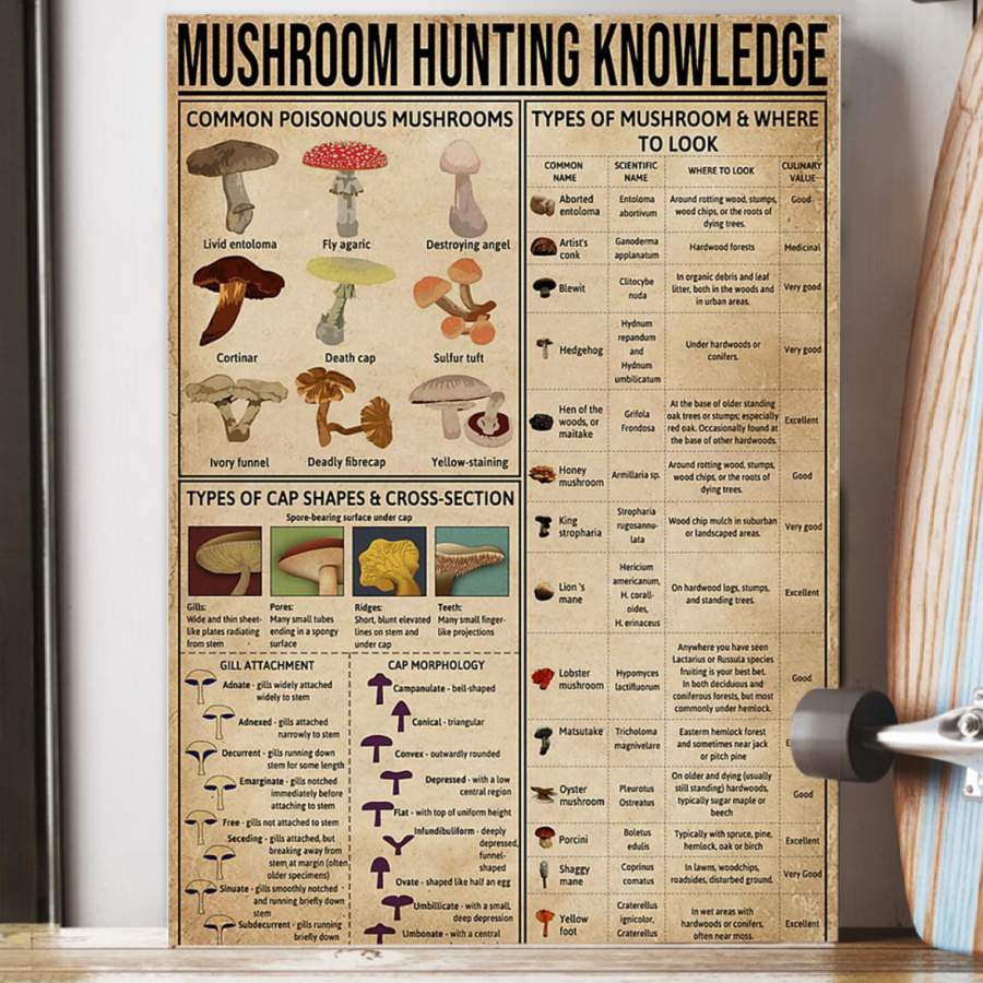 Mushroom Hunting Knowledge Trending Gift For Mushroom Lovers Poster