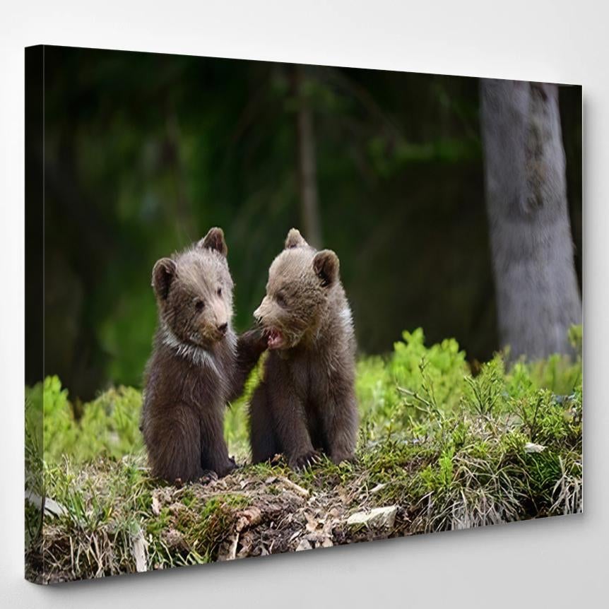 Wild Brown Bear Cub Close 1 – Bear Animals Canvas Print