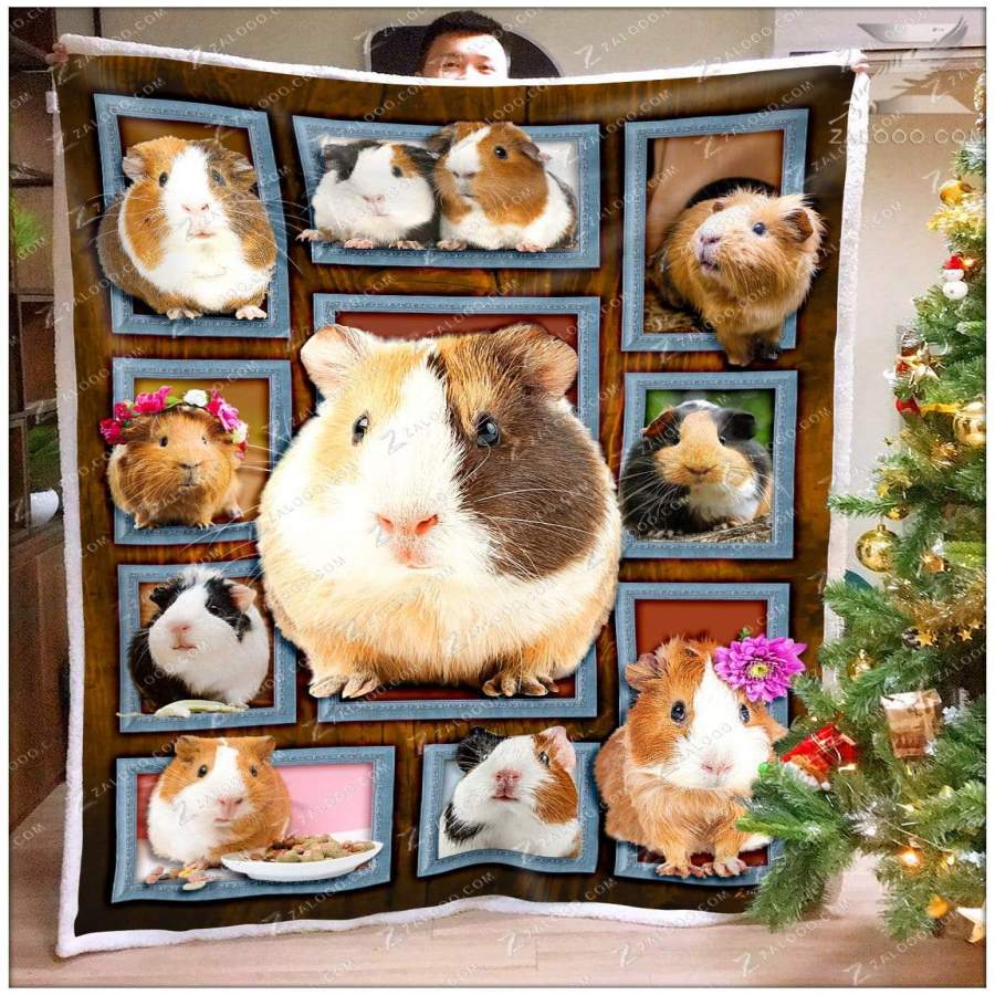 Zalooo – Guinea Pig Blanket – Cute Guinea Pigs