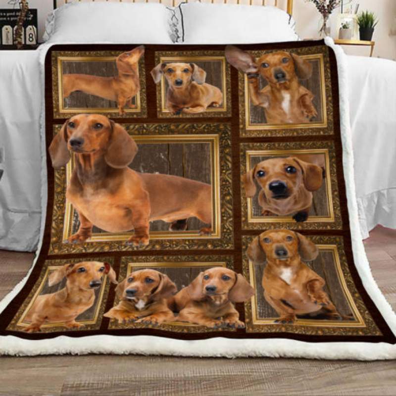 Dachshund Dog Sherpa Blanket JR1301 67O51