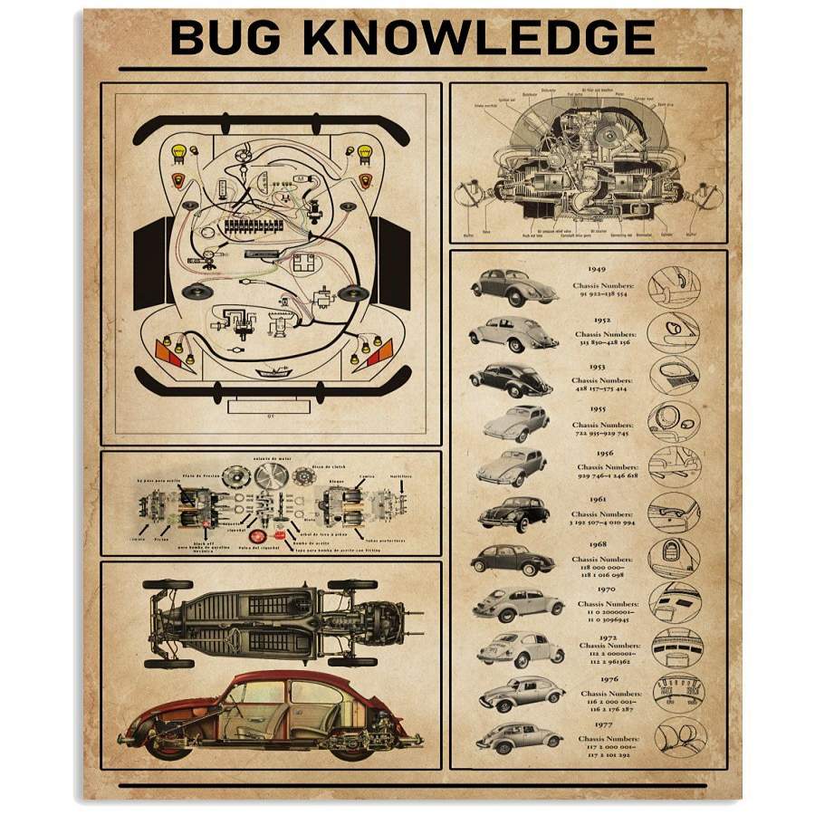 Bug Knowledge Horizontal Poster