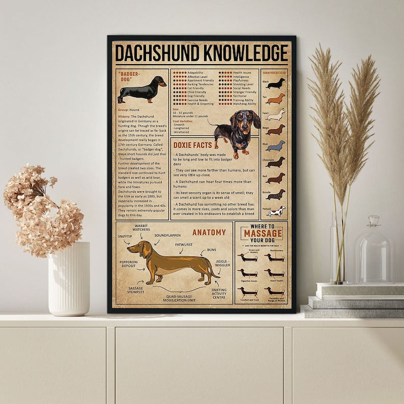 Dachshund Knowledge Canvas, Gift For Dacshund Lovers, Dachshund Canvas, Dachshund Art Print, Dachshund Christmas Gift