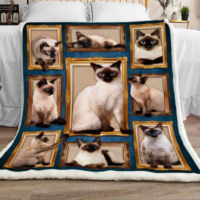 Siamese Cat Sherpa Blanket JR3101 81O52