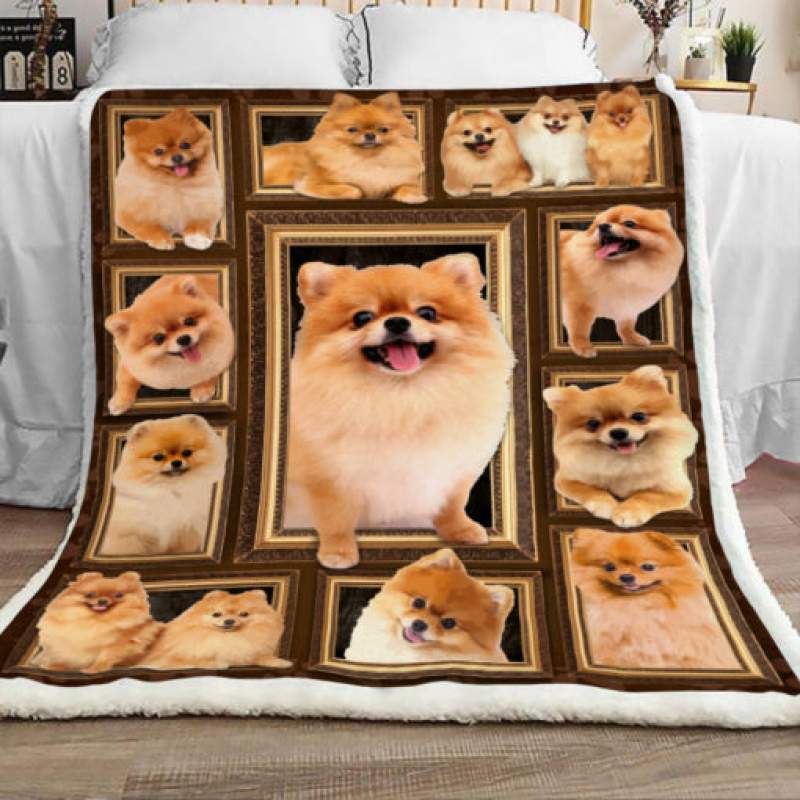 Pomeranian Dog Sherpa Blanket JR3101 81O50