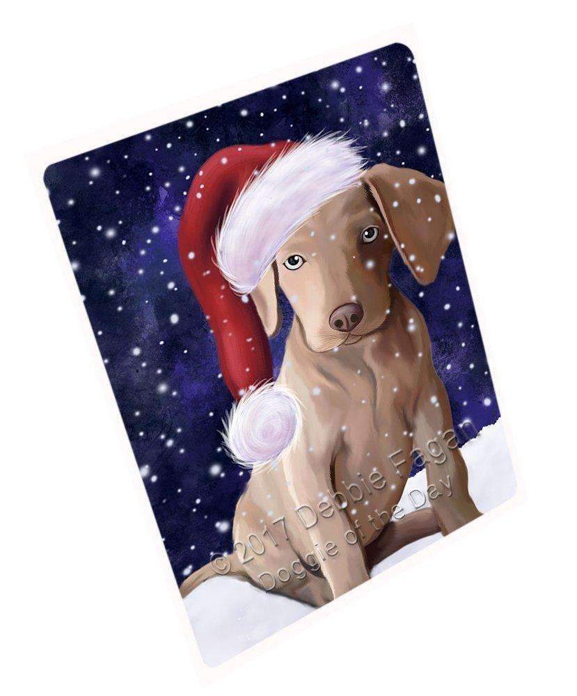 Let It Snow Christmas Holiday Weimaraner Puppy Dog Wearing Santa Hat Art Portrait Print Woven Throw Sherpa Plush Fleece Blanket D079