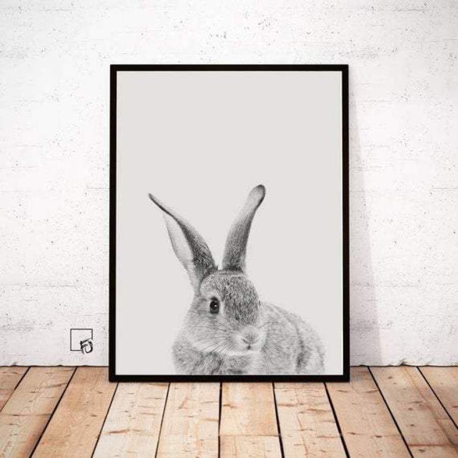 NMT1512 – Rabbit – Grey – Poster