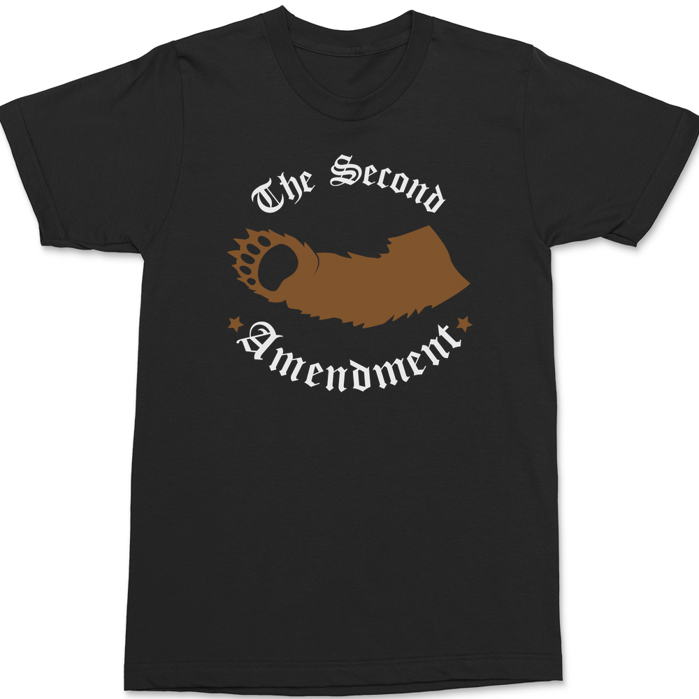 2Nd Amendment Right To Bear Arms T-Shirt