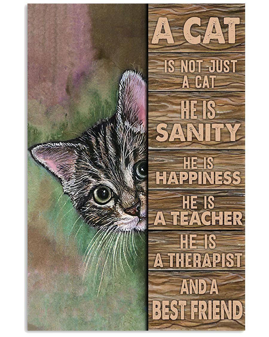 A Cat Is Not Just A Cat – Best Idea Gift, Gift For Home Decor, Gift For Family – Horizontal Canvas Matte Canvas Wall Art