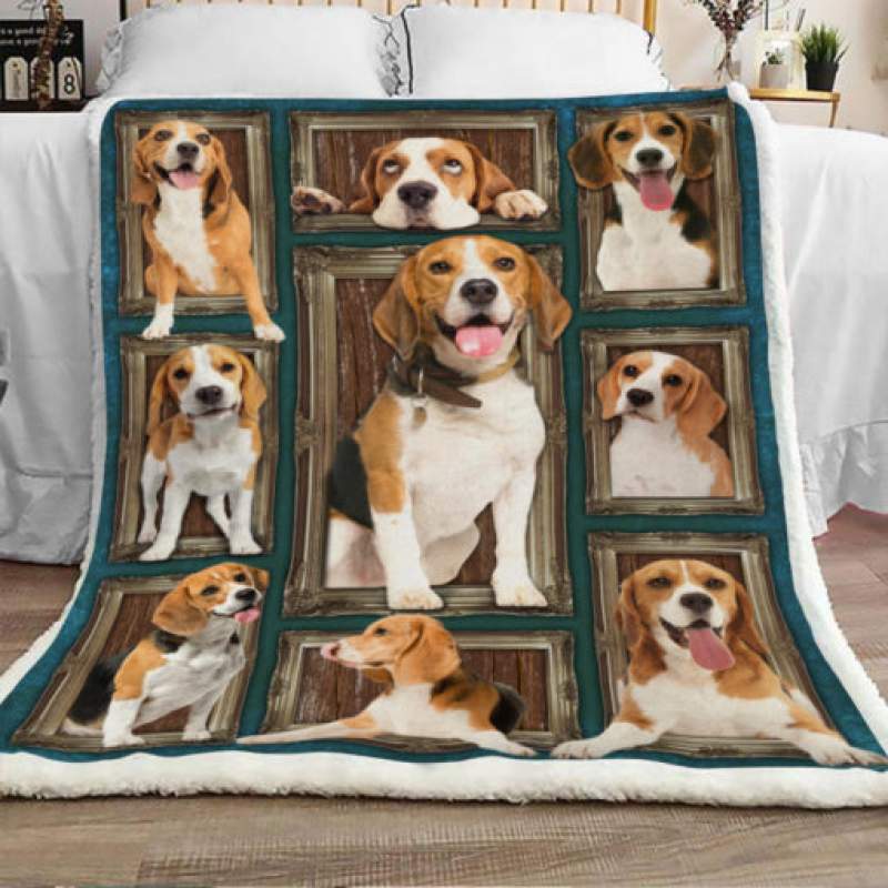 Beagle Dog Sherpa Blanket JR1302 70O50