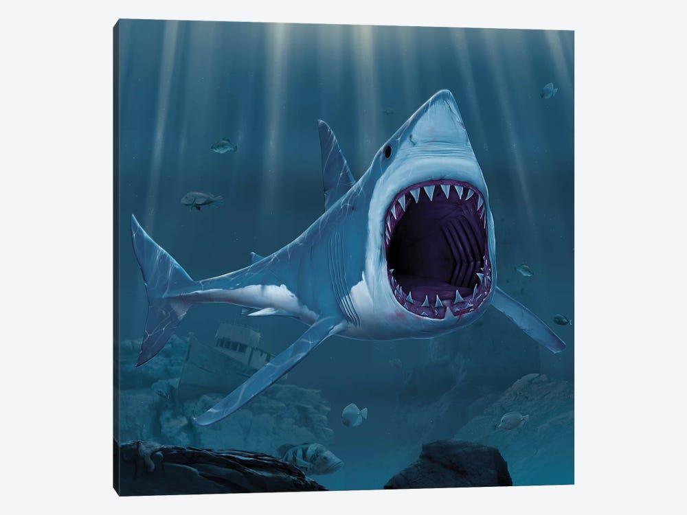 Shark Bite Canvas Poster 8″x12″ 12×18″ 18″x26″ 24″x36″ 30″x45″