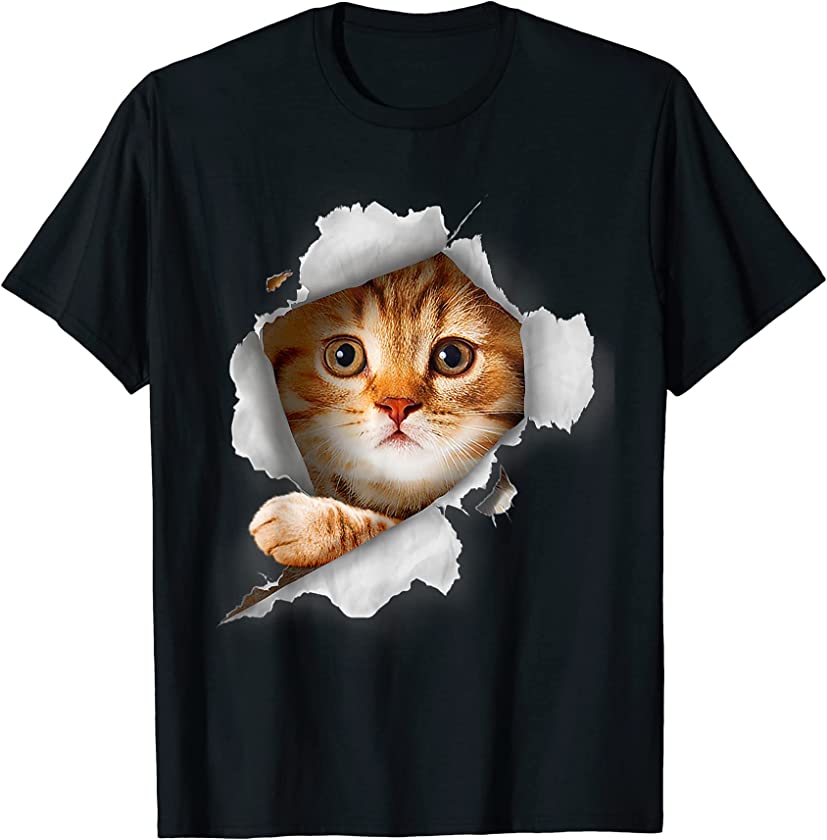 Orange Cat, Cat Torn Cloth, Kitten T-Shirt