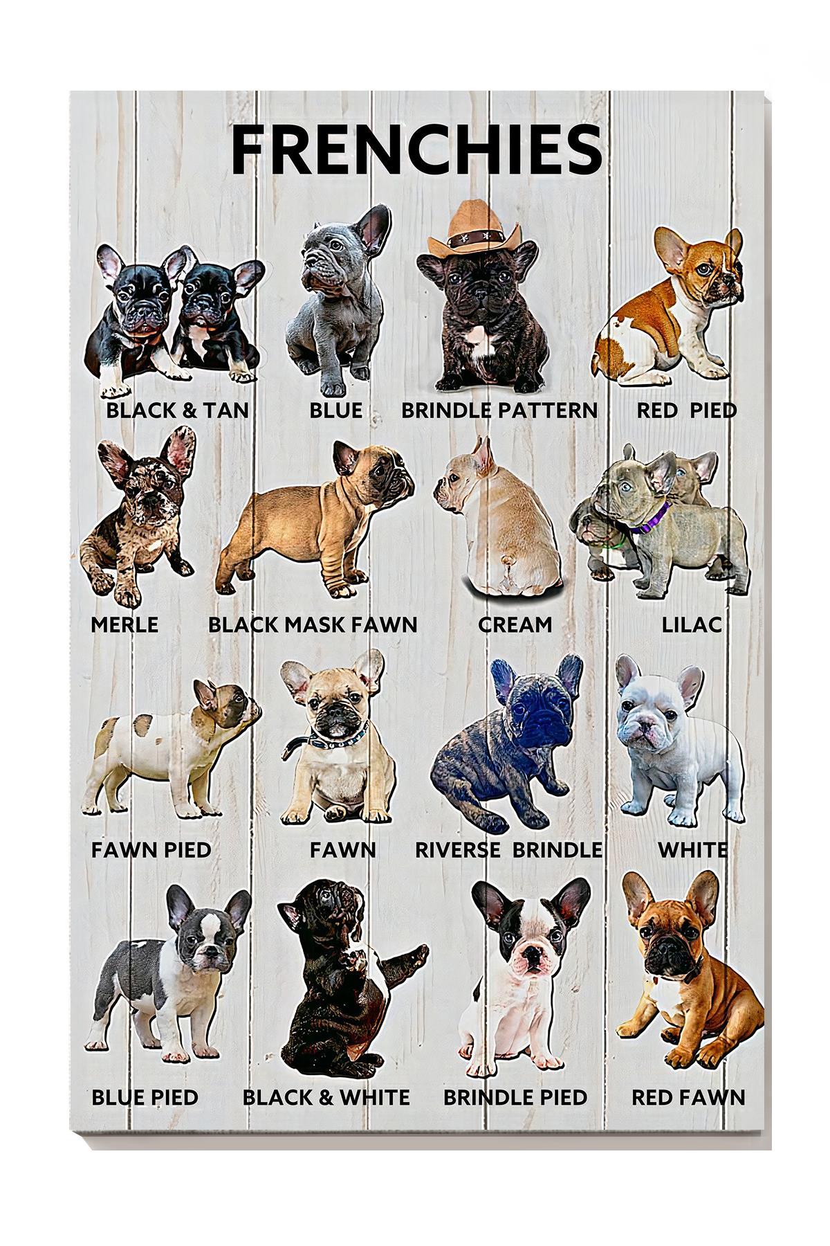 Types Of French Bulldog Animal Knowledge For Homeschool Nusery Kids Bedroom Decor Canvas