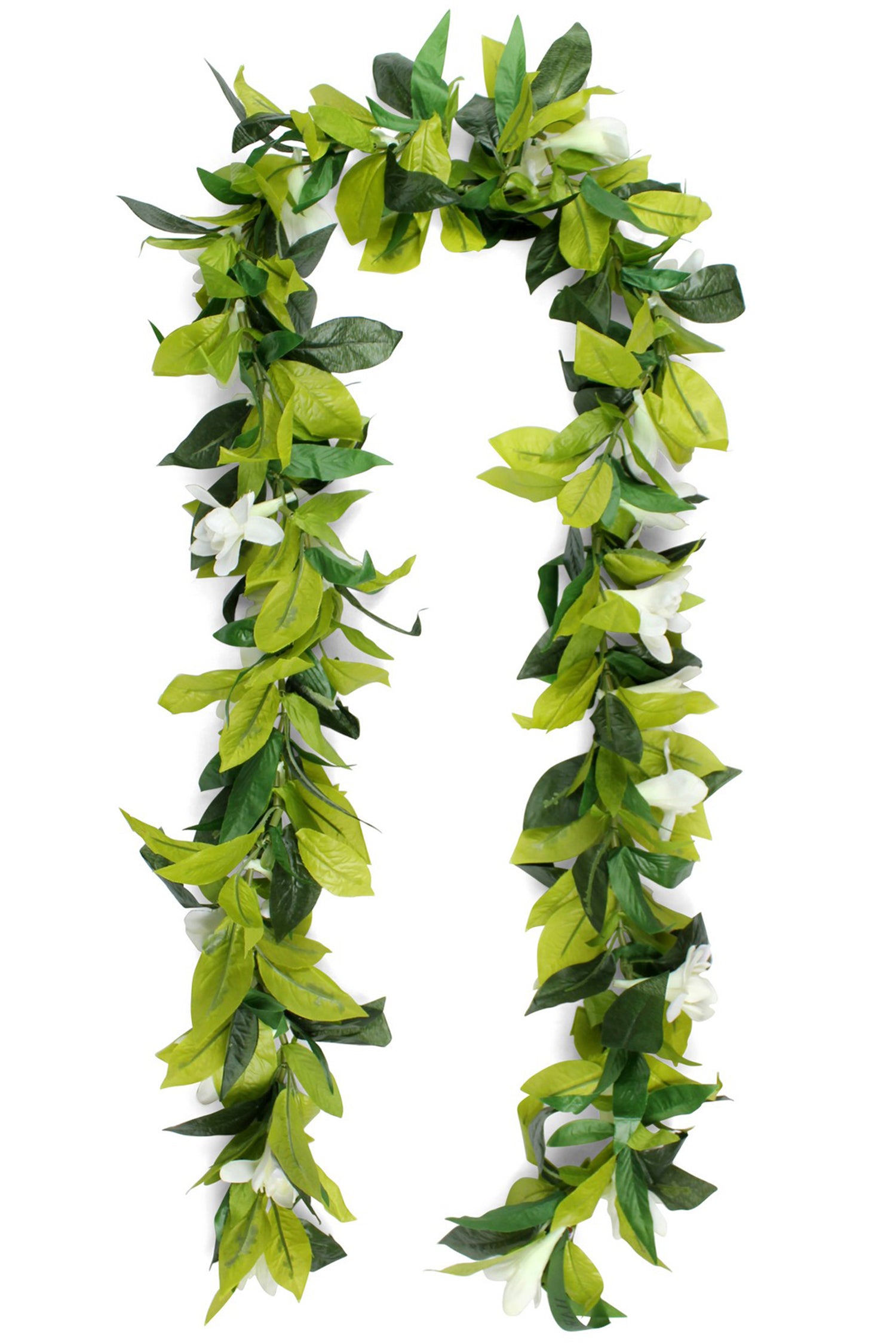 Hawaii Maile Leaf Open Lei Flower Green Ha6949