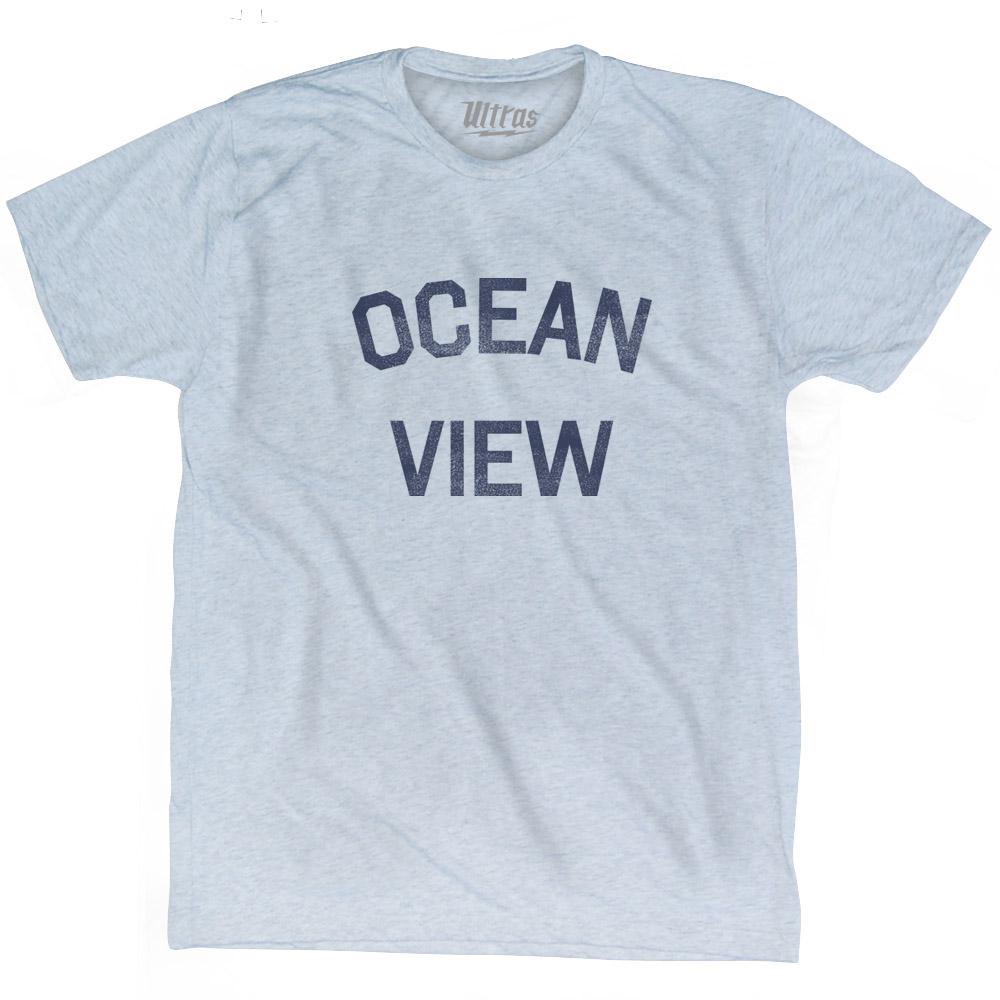 Virginia Ocean View Adult Tri-Blend Vintage T-shirt