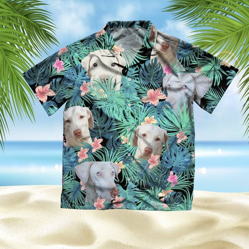 Felacia Rajapalayam Summer Leaves Hawaii Shirt Ha5441