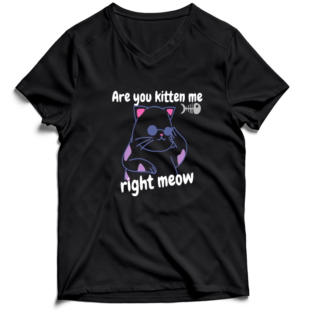 Are You Kitten Me Right Meow Join Men’s V-Neck Tee T-Shirt