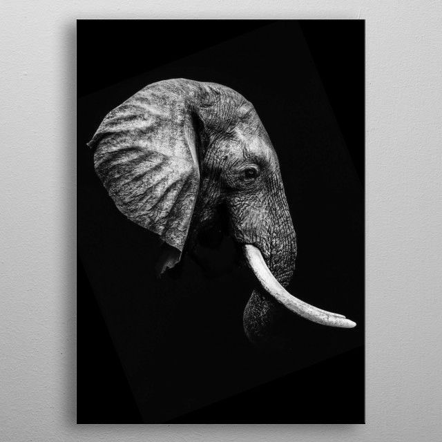 Wild Elephant face Canvas Poster 8″x12″ 12×18″ 18″x26″ 24″x36″ 30″x45″