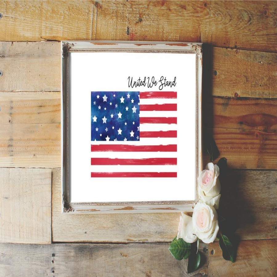 NMT2512 - Veteran - United We Stand - Poster - Poster Art Design