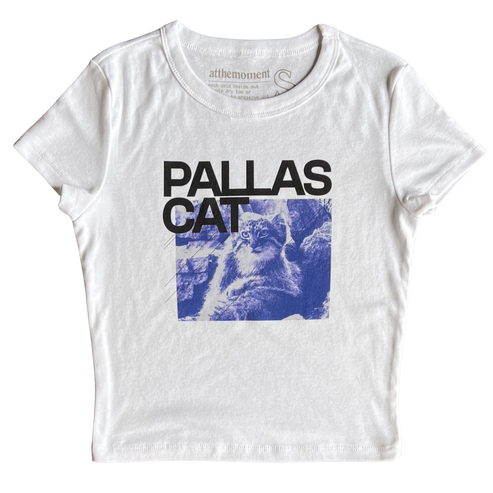 Sitting Pallas Cat Women   s Baby Rib Ladies Tee Shirt Outfit  For Men  For Women