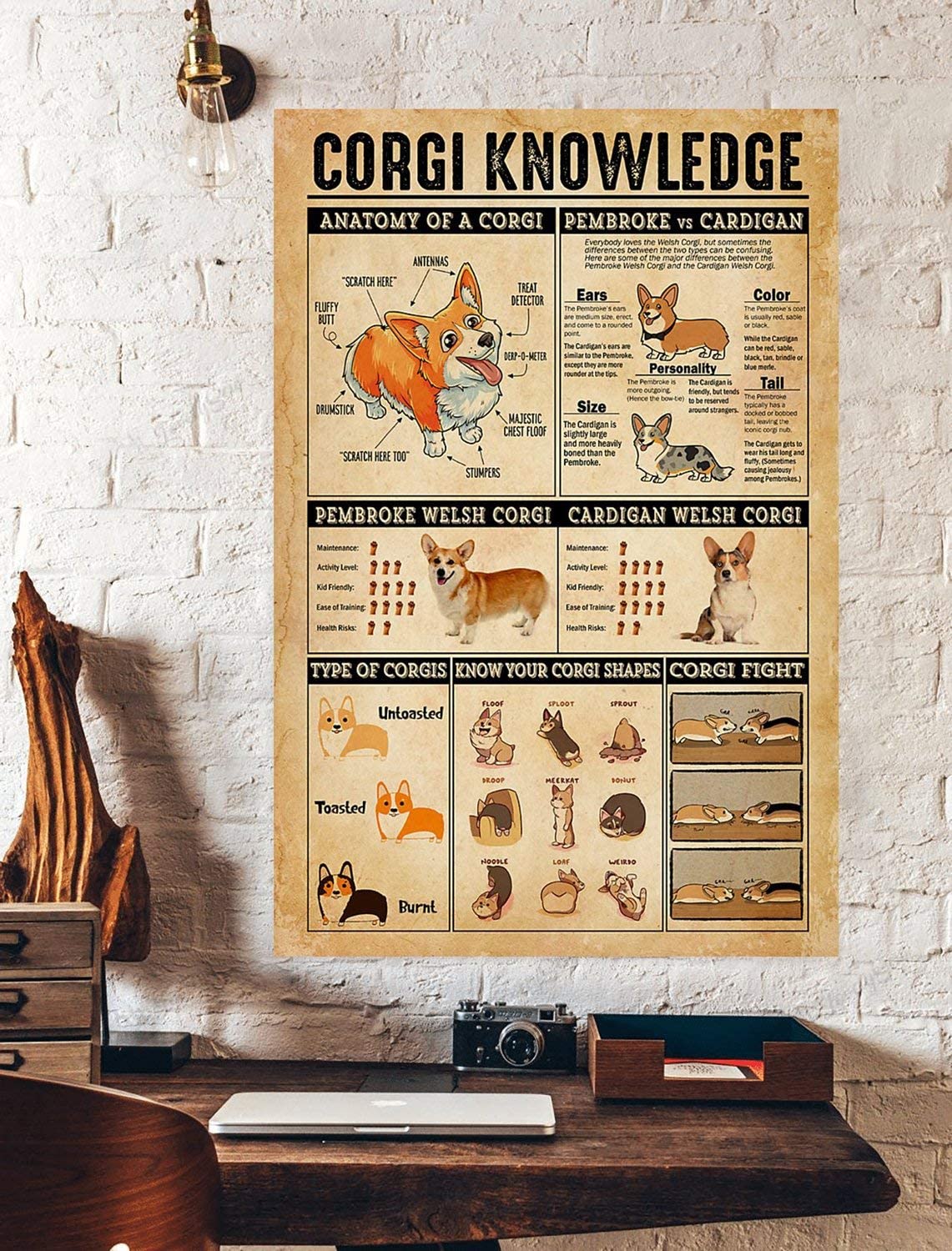 Animal Poster Dog Poster Corgi Knowledge Anatomy Of A Corgi Pembroke And Cardigan Wall Decor Decorative Home For Bedroom Gift For Friend And Relative No Frame