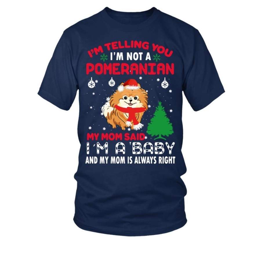 Pomeranian  Men’s T-Shirt