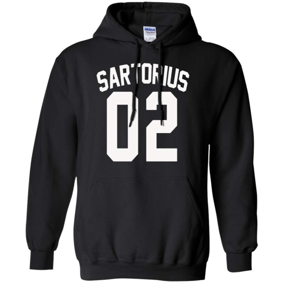 AGR Jacob Sartorius 02 Gildan Pullover Hoodie