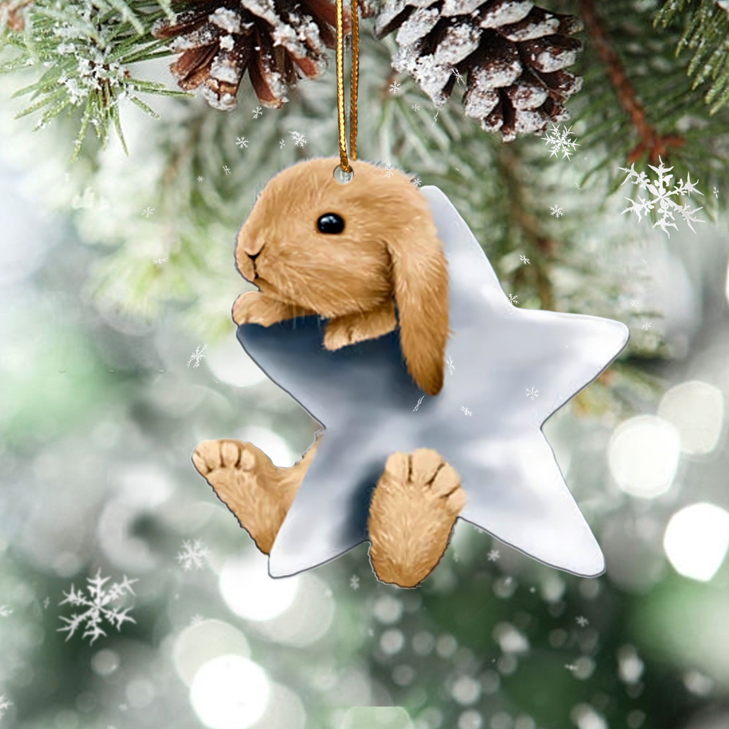 Rabbit With Star Two Sides Ornament