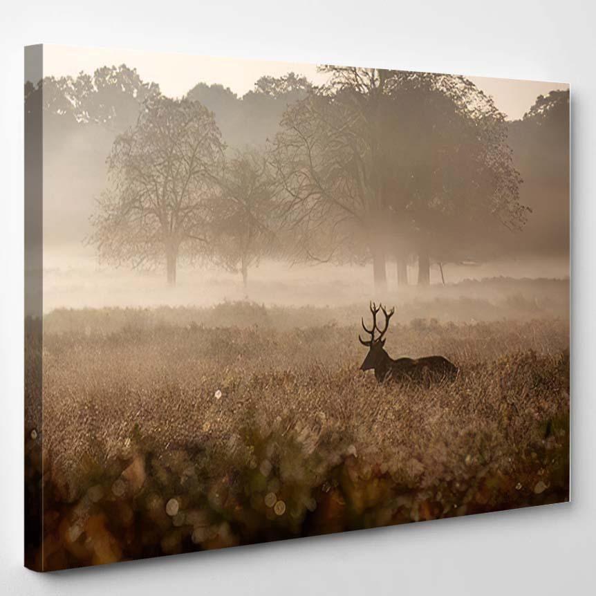 Red Deer Stag Early Morning Misty 1 – Deer Animals Canvas Print