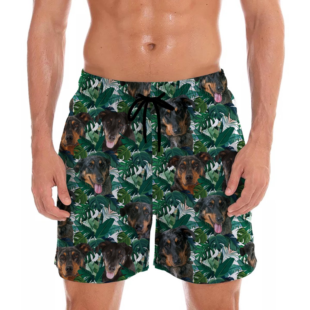 Beauceron Hawaii Shorts Ha91612