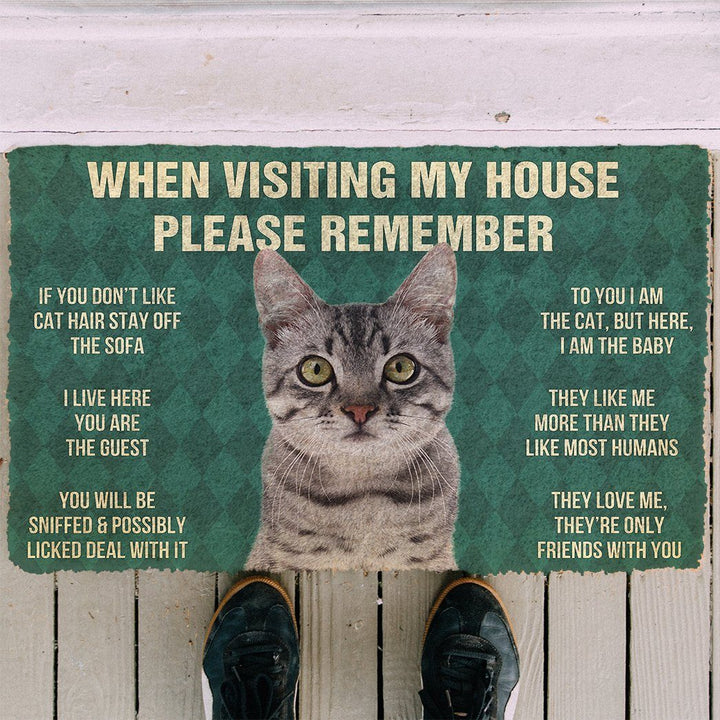 Waybackapparel Please Remember Gray Tabby Cat House Rules 3D Doormat